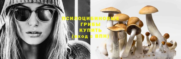 прущий лед Алексин