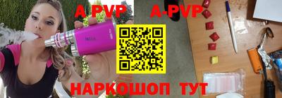 бошки Кингисепп