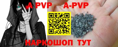 бошки Кингисепп
