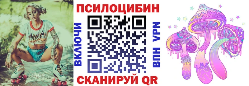 Галлюциногенные грибы Cubensis Кимры