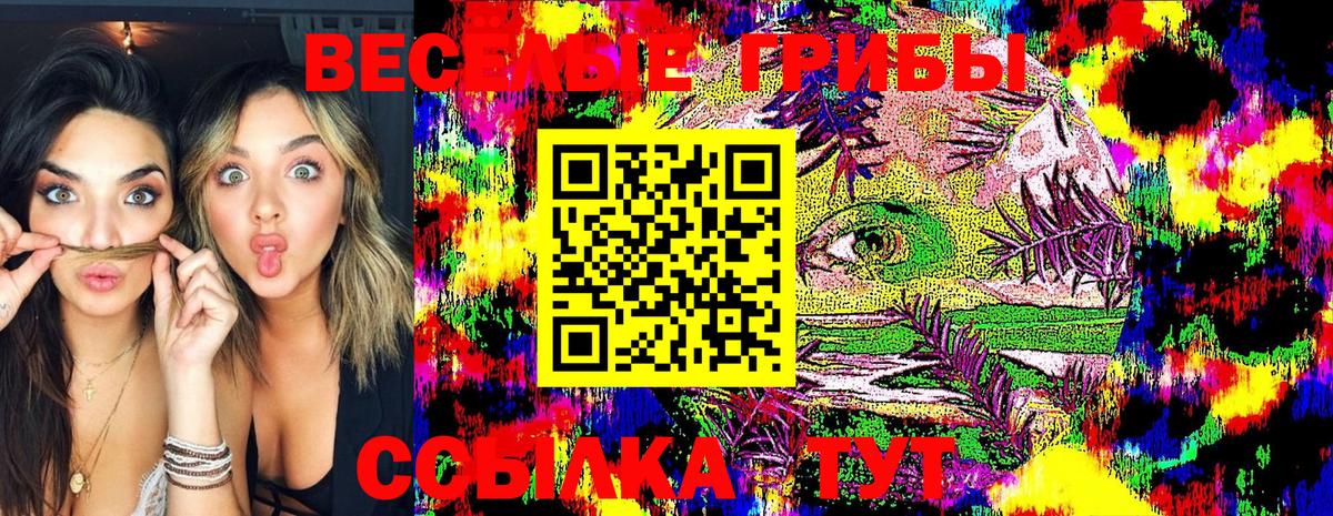 Псилоцибиновые грибы Psilocybe  Псилоцибиновые грибы мицелий  Кимры  Вход с VPN 