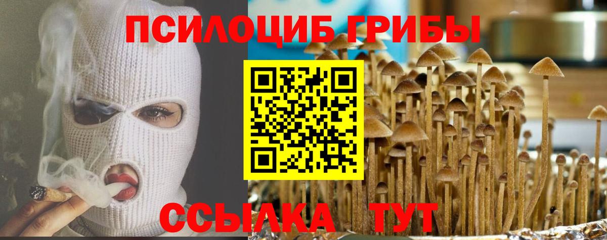 Галлюциногенные грибы Magic Shrooms Кимры